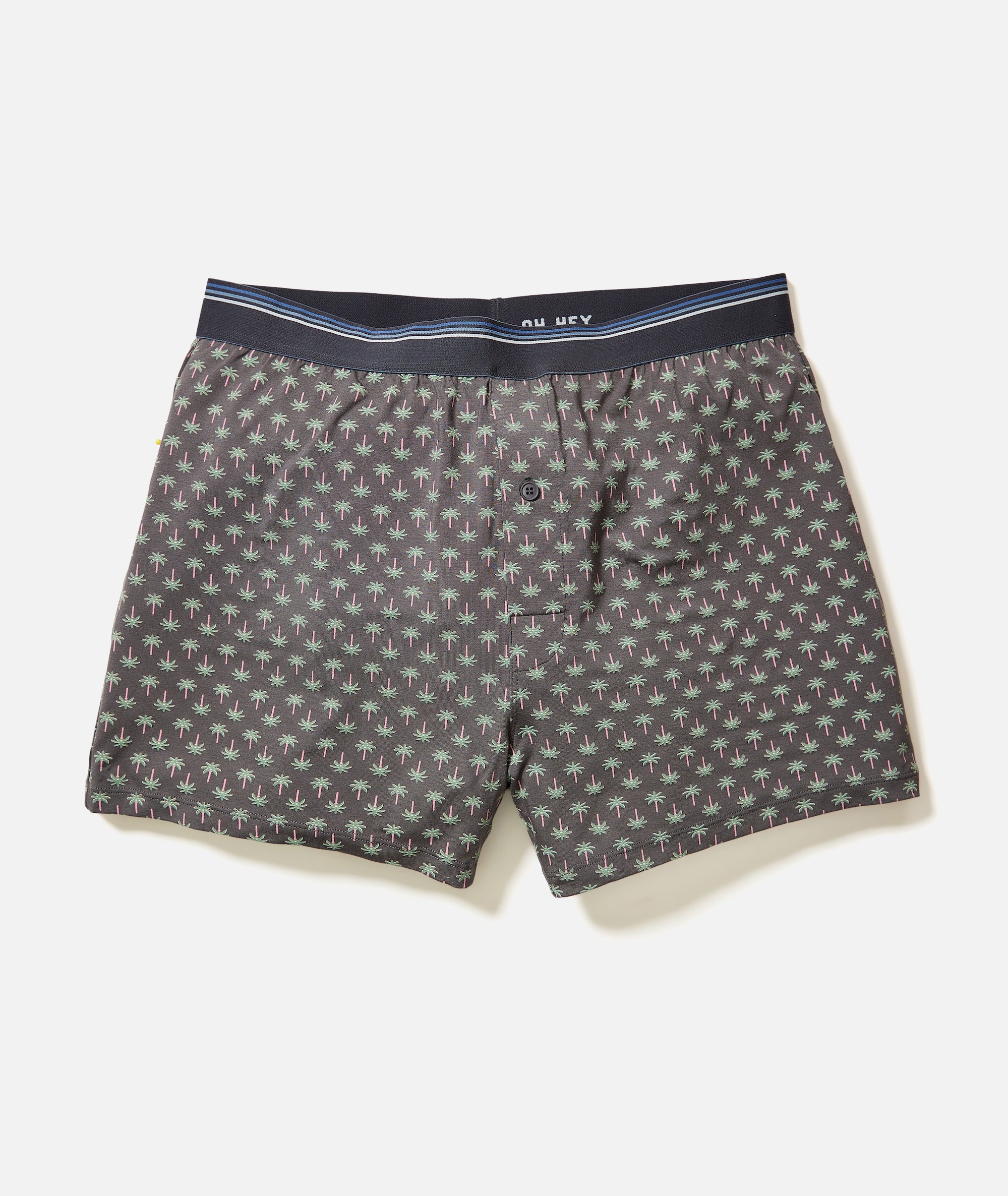 Best Boxers Ever
